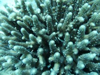 /album/klauni-a-sapini/foto-lubor-627-jpg/